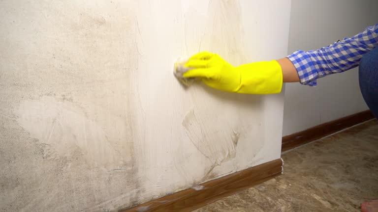 Best Comprehensive Air Testing for Mold Contaminants  in Duluth, GA