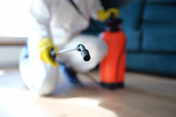 Mold Documentation for Insurance Claims in Duluth, GA