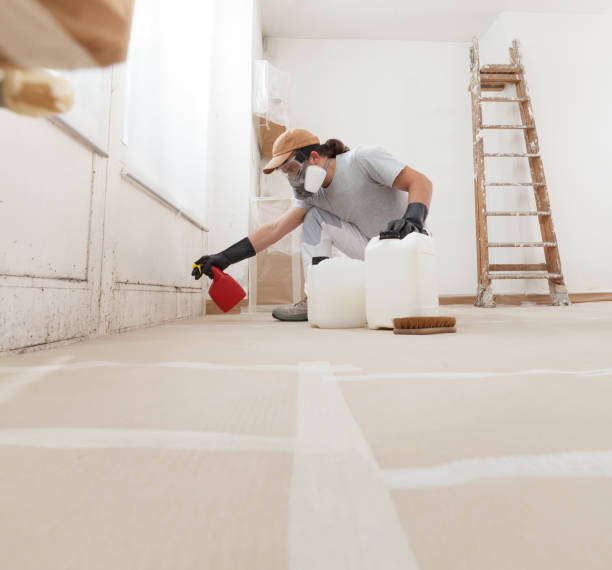 Best Mold Remediation for Healthcare Facilities  in Duluth, GA